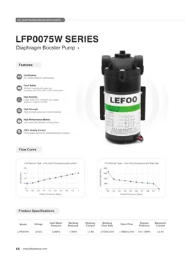 LEFOO 12V 75GPD LFP0075W