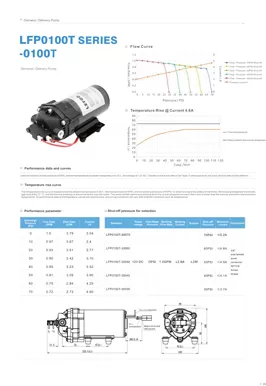 Bomba de entrega de demanda LEFOO LFP0100T Series