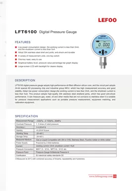Manómetro digital LEFOO LFT6100