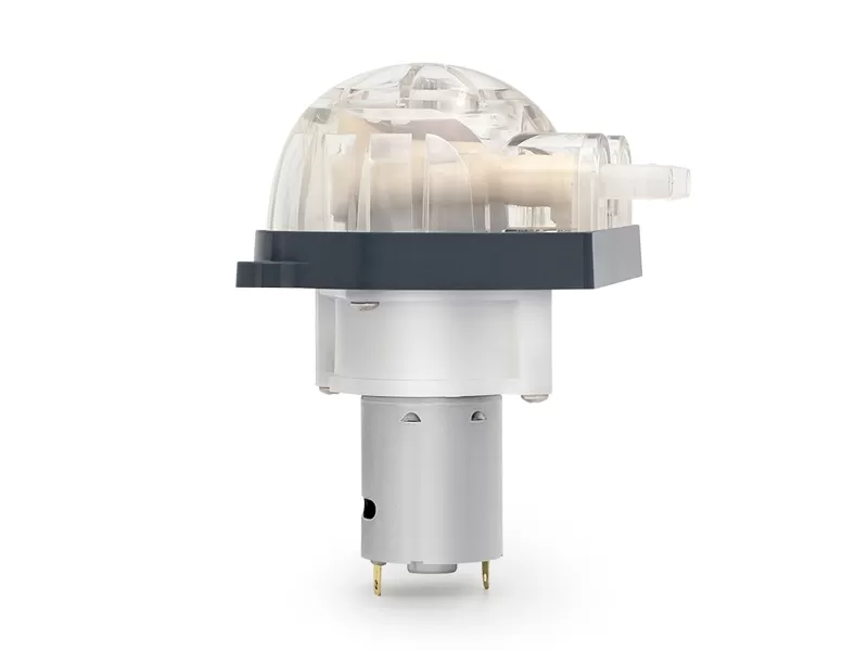 Lfp303db DC motor bomba peristáltica en China