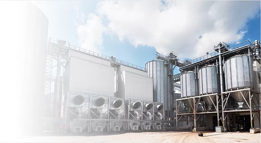 Interruptor de presión mecánico