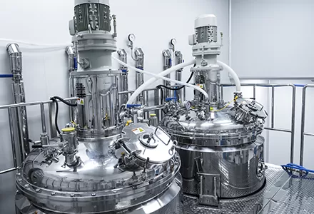 Procesamiento químico